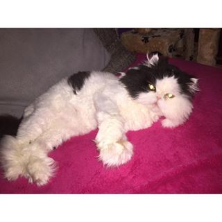 Profile Picture of Robert Schindler (@robert.schindler.921230) on Facebook