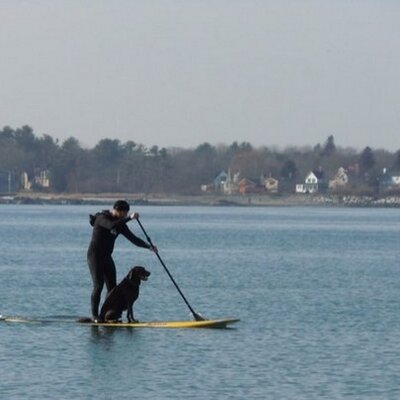 Profile Picture of Nathan Swingle (@nathanswingle) on Twitter