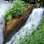 Profile Picture of RossBatchelor (@rossbatchelorc) on Instagram