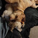 Profile Picture of Shelley Matheson (@shellzmatheson) on Instagram