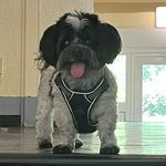 Profile Picture of Nancy Lück (@lueckinancy) on Instagram