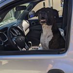 Profile Picture of Benjamin Rafael Lara (@benlara1) on Instagram