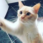 cassandrasnappl - Instagram Profile Picture of cassandrasnappl (@cassandrasnappl) on Instagram