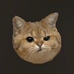 Profile Picture of 최혜인 (@choin_01) on Instagram