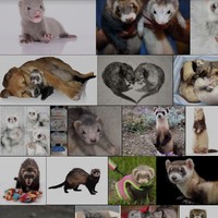 Profile Picture of Bianca Concepcion (@bianca-concepcion-6) on Quora