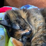 Profile Picture of jeffrey_lyon0 (@jeffrey_lyon0) on Instagram