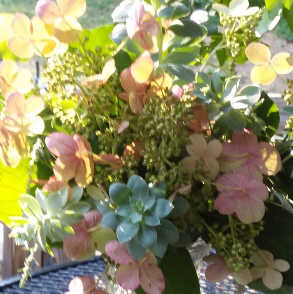 Profile Picture of Jodi Truax (@joditruax) on Poshmark