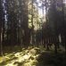 Profile Picture of Peter Åberg (@peter.aberg.54) on Facebook