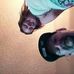 Profile Picture of Joseph Vossen (@joseph.vossen.16) on Facebook