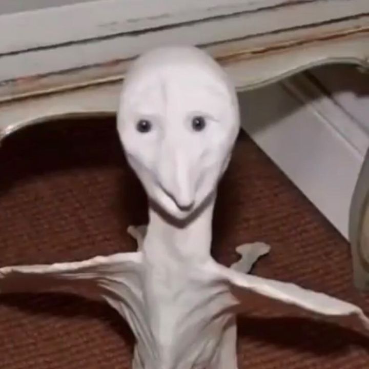 Profile Picture of earlickk (@earlickk) on Tiktok