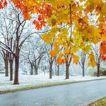 Profile Picture of Matthew Wildenauer (@fallsnowfall) on Instagram