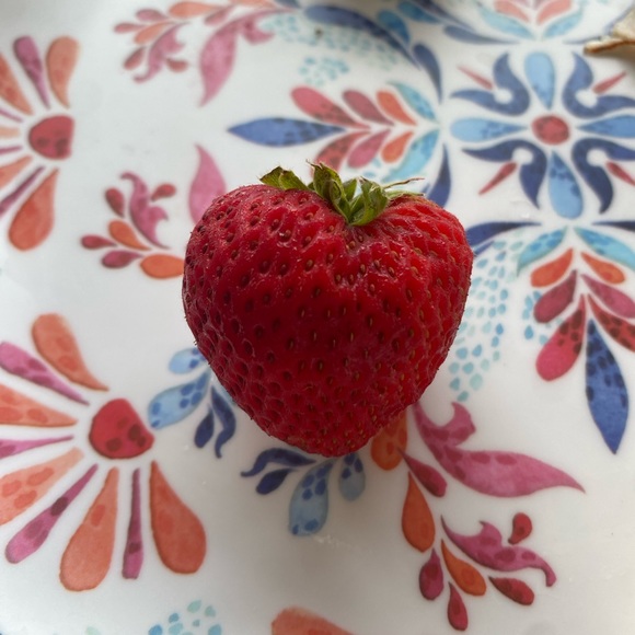 Profile Picture of Emma Hvizdos (@emma1900) on Poshmark