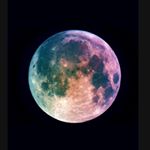 Profile Picture of 루나 유머 (@luna.zooo) on Instagram