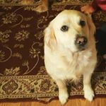 Profile Picture of Matt Neff (@matt._.neff) on Instagram