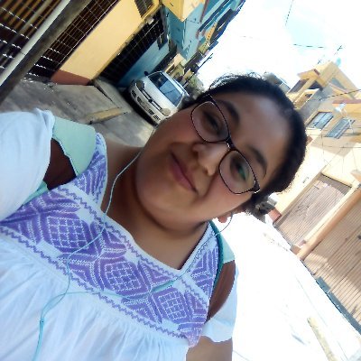 Profile Picture of Guadalupe Calderón (@tonatsin) on Twitter
