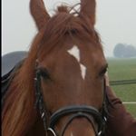 Kim purvis - Instagram Profile Picture of Kim purvis (@kimpurvis4737) on Instagram