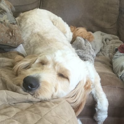 Profile Picture of Debbie Mcdowell (@debbie9143) on Twitter