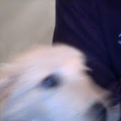 Profile Picture of Michael Kolb (@kolb94) on Youtube
