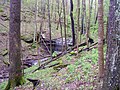 Profile Picture of Crutcher and Sally Brown Nature Preserveson Wikipedia