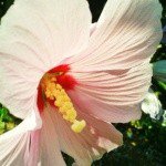 Profile Picture of Joseph (@mcgoughwy3) on Instagram