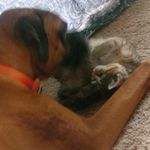 Profile Picture of Kim Scudder Medlin (@scuddermedlin) on Instagram