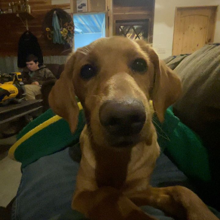 Profile Picture of bradleyb (@bradleyb934) on Tiktok