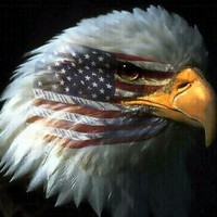 Nathan Smeltzer - Quora Profile Picture of Nathan Smeltzer (@nathan-smeltzer-5) on Quora