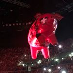 Profile Picture of Nicholas Laird (@nicholas.laird) on Instagram