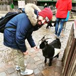 Profile Picture of Johnny Sam (@johnny_sam) on Instagram