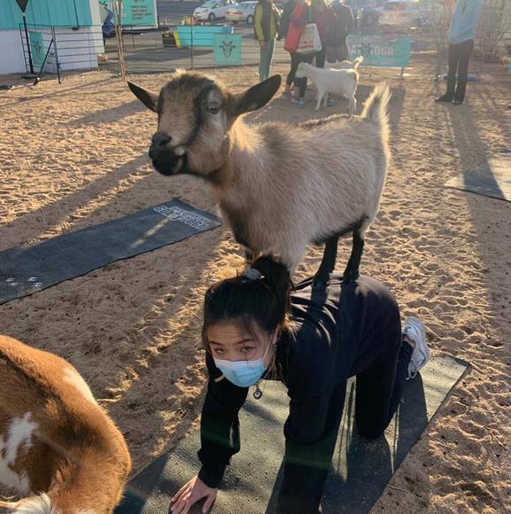 Profile Picture of Grace Markley (@gracemarkley) on Poshmark