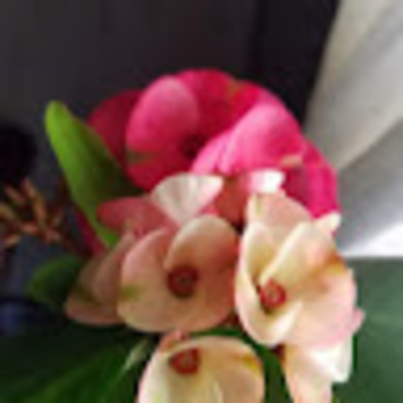 Profile Picture of Phoumy0201 Inthavongsa (@phoumy0201) on Poshmark