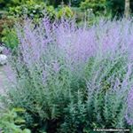 Profile Picture of Jamie Zegar (@zegarjamie) on Instagram