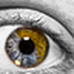Profile Picture of Claire Barnes (@fotophoenix claire) on Flickr