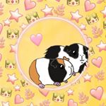 Profile Picture of 🐽✨Lucy&Coco✨🐽 (@__lucy__coco__) on Instagram