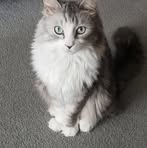 Profile Picture of Marc Gaston (@marcotte.gaston) on Facebook