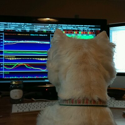 Profile Picture of Adam Betancourt (@Adam_Betancourt) on Twitter