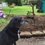 Profile Picture of Ralph Welch (@welch.family) on Instagram