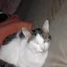 Profile Picture of Kerstin Singh (@kerstin.singh.79) on Facebook