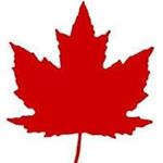 Profile Picture of Scott Semple (@scottsemple47) on Instagram