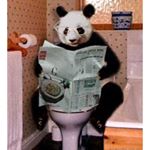 Profile Picture of Andy Pappas (@pappas.andy) on Instagram