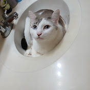 Profile Picture of Cookinwithperry (@daddioof8) on Youtube