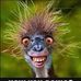 Profile Picture of David Stewart (@david.stewart.3511041) on Facebook