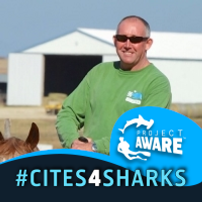 Profile Picture of Steven Kimbell (@StevenKimbell) on Twitter