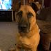 Profile Picture of Robert Crouse (@robert.crouse.927) on Facebook