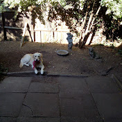 Profile Picture of Christopher Leonard (@christopherleonard2020) on Youtube