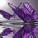 Profile Picture of Darlene Dewald Christensen (@christensen1979) on Pinterest