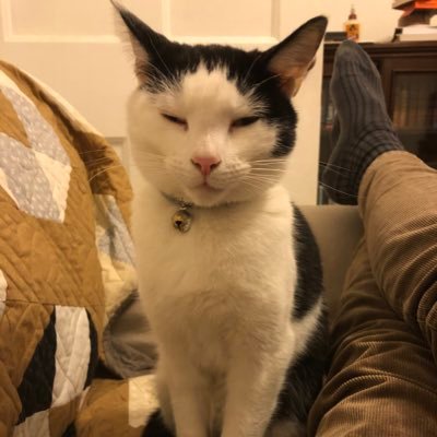 Profile Picture of Daniel Johnson (@hackloon) on Twitter