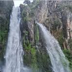 Profile Picture of Alice Franco (@Alice-Franco) on Facebook