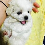 Profile Picture of 김종선 (@1x1o_) on Instagram