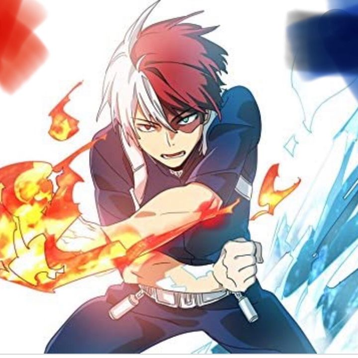 Profile Picture of Todoroki (@christopher.jekel) on Tiktok